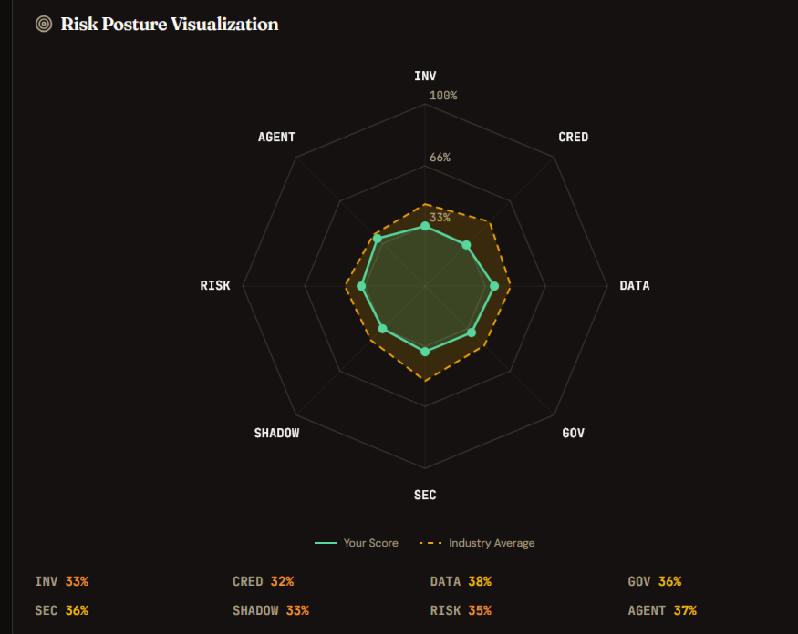 Radar chart showing risk posture visualization across 8 security domains